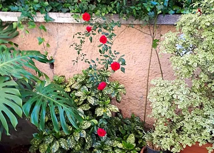 Tra Gianicolo E Trastevere Frühstückspension 4*